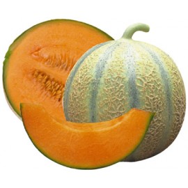 Melon Type charentais (la piece)