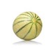 Melon (gros calibre)